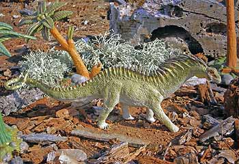 Amargasaurus cazaui by Safari, 2006