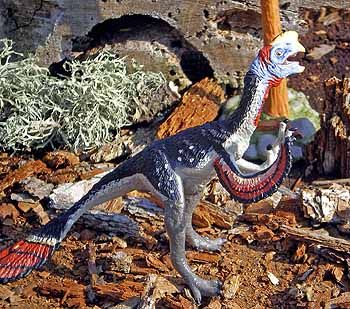 Oviraptor philoceratops by Safari, 2006