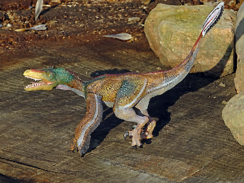 Velociraptor mongoliensis by Papo, 2016