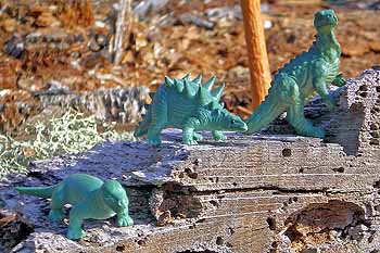 Surprises form Kinder eggs - Moschops, Kentrosaurus, Iguanodon